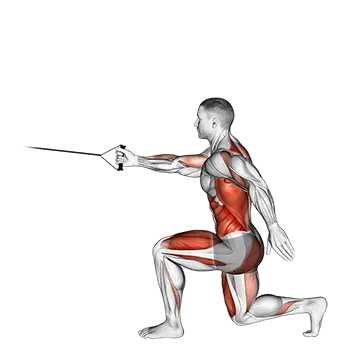 Band High Knee Lunge with Single Arm Row