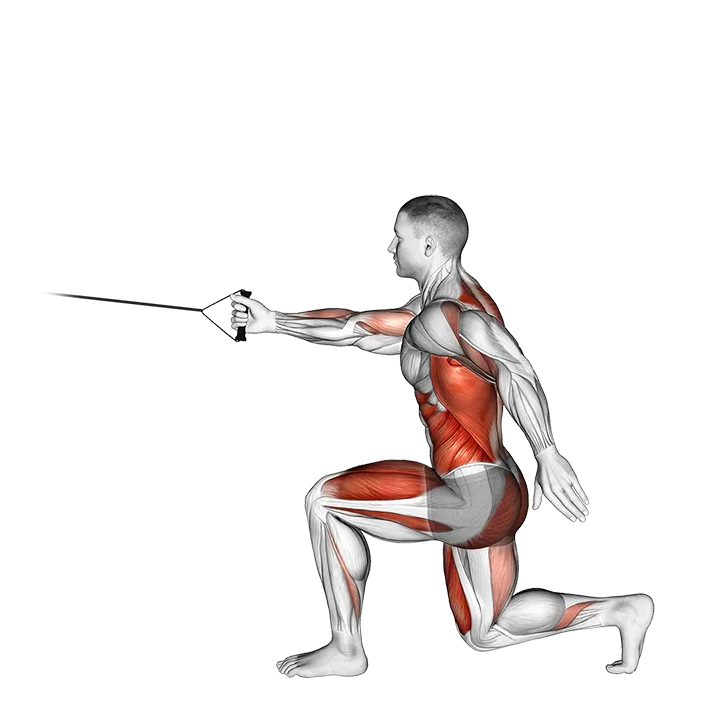 Band High Knee Lunge with Single Arm Row exercise animation (Male)