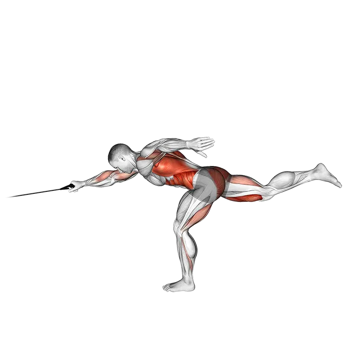 Band Single Stiff Leg Deadlift with Single Arm Row exercise animation (Male)
