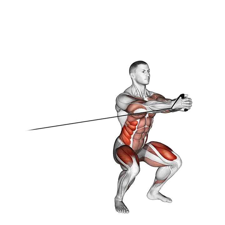 Band Squat with Horizontal Pallof Hold exercise animation (Male)