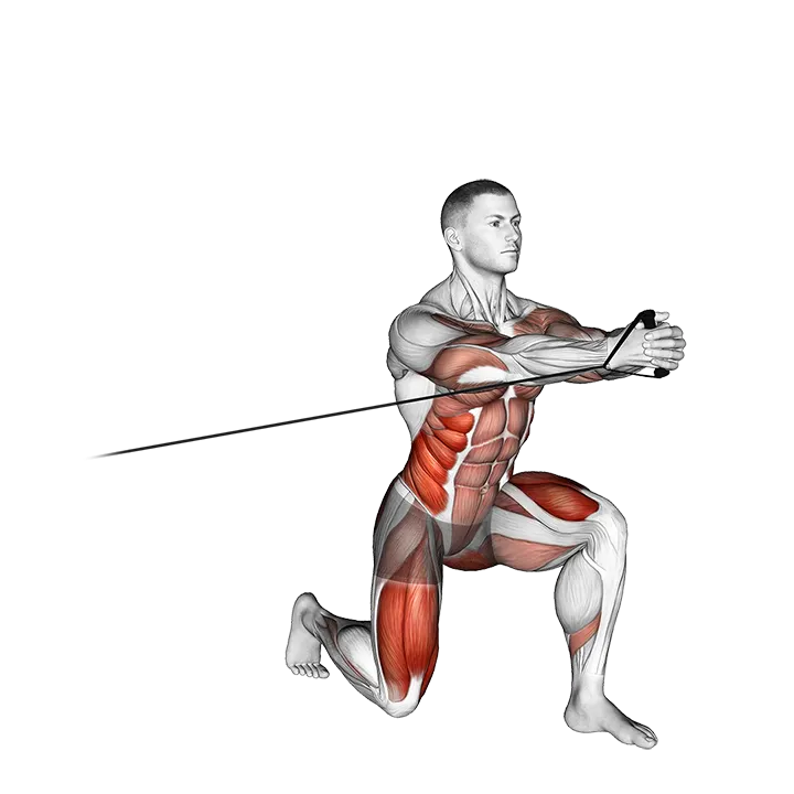 Band Split Squat with Horizontal Pallof Hold exercise animation (Male)