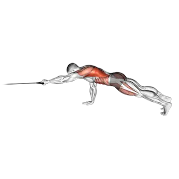 Band Front Plank with Single Arm Pulldown