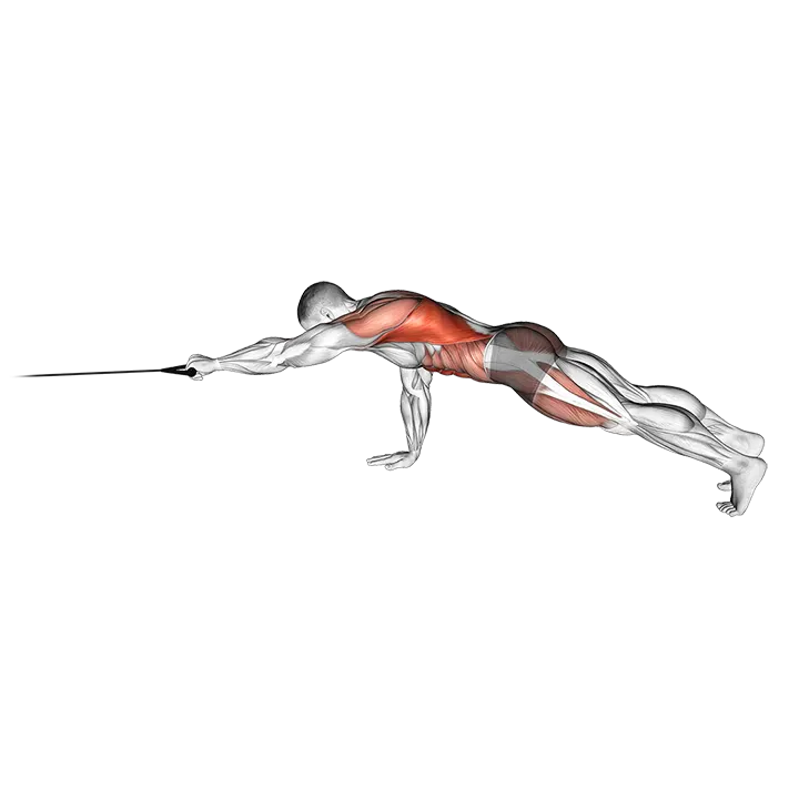 Band Front Plank with Single Arm Pulldown exercise animation (Male)