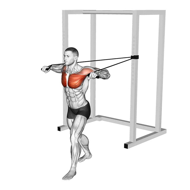 Band Standing Chest Press exercise animation (Male)