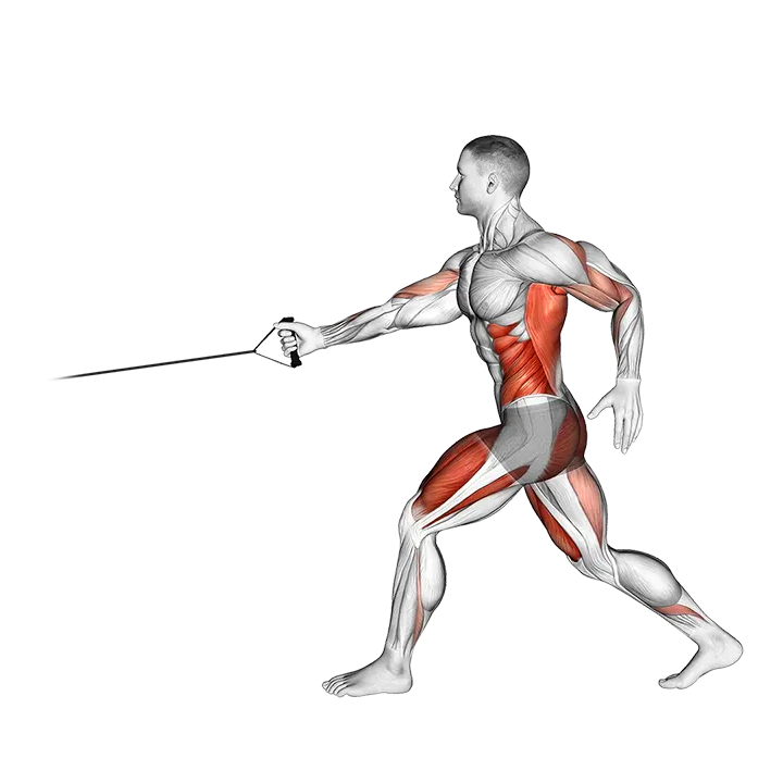 Band Split Jump with Single Arm Row exercise animation (Male)