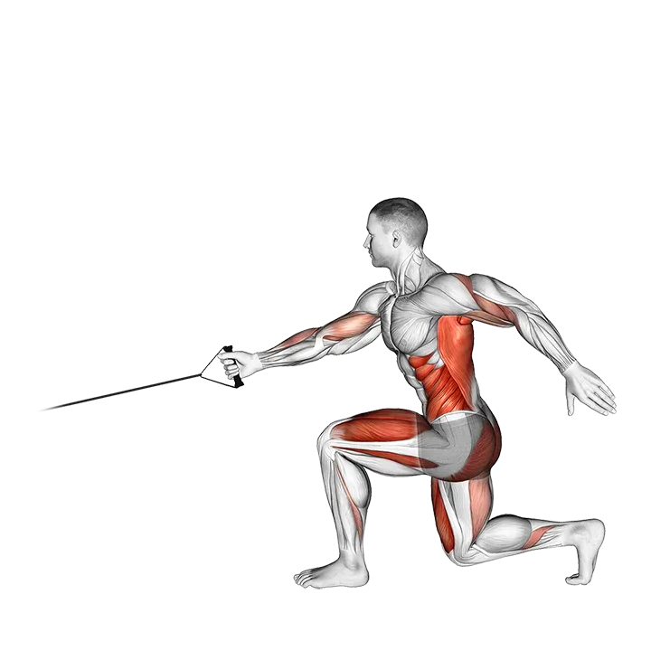 Band Jump Lunge with Single Arm Row exercise animation (Male)