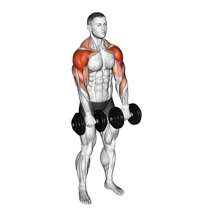 Dumbbell Archer exercise animation (Male)