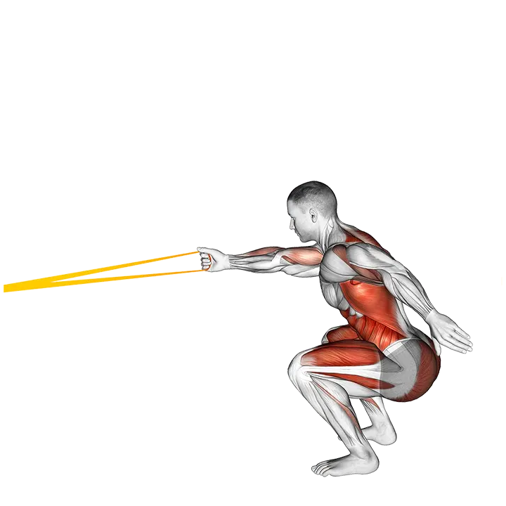 Resistance Band Squat with Single Arm Row exercise animation (Male)