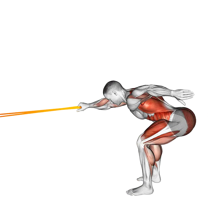 Resistance Band Deadlift with Single Arm Row exercise animation (Male)