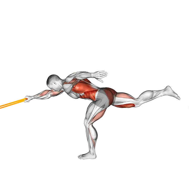 Resistance Band Single Stiff Leg Deadlift with Single Arm Row exercise animation (Male)