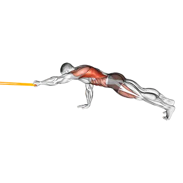 Resistance Band Front Plank with Single Arm Pulldown