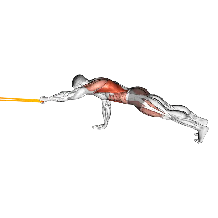 Resistance Band Front Plank with Single Arm Pulldown exercise animation (Male)