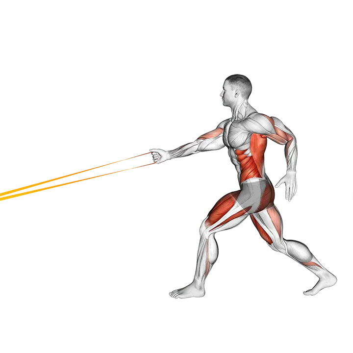 Resistance Band Split Jump with Single Arm Row exercise animation (Male)