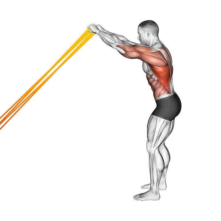 Resistance Band Skier exercise animation (Male)