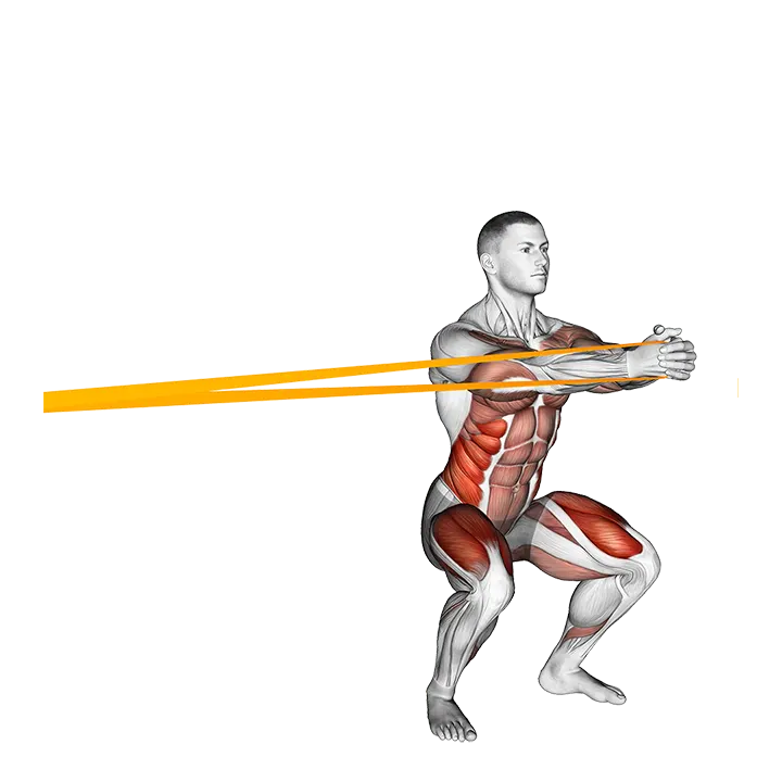 Resistance Band Squat with Horizontal Pallof Hold exercise animation (Male)