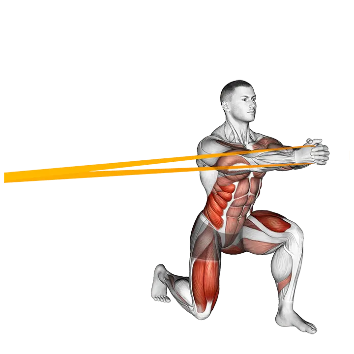 Resistance Band Split Squat with Horizontal Pallof Hold exercise animation (Male)
