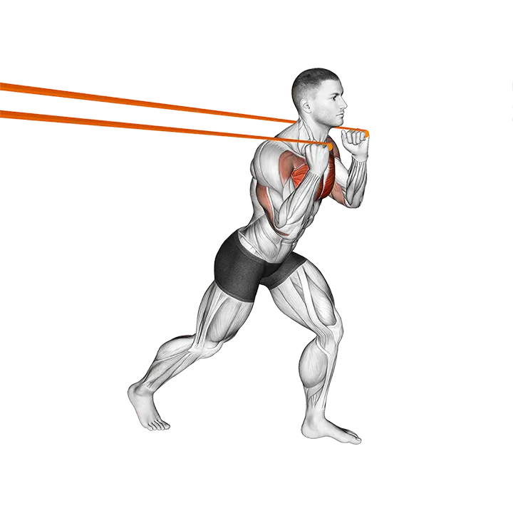 Resistance Band Punch exercise animation (Male)