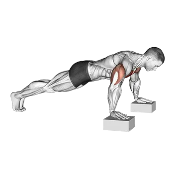 Elevanted Push-Up