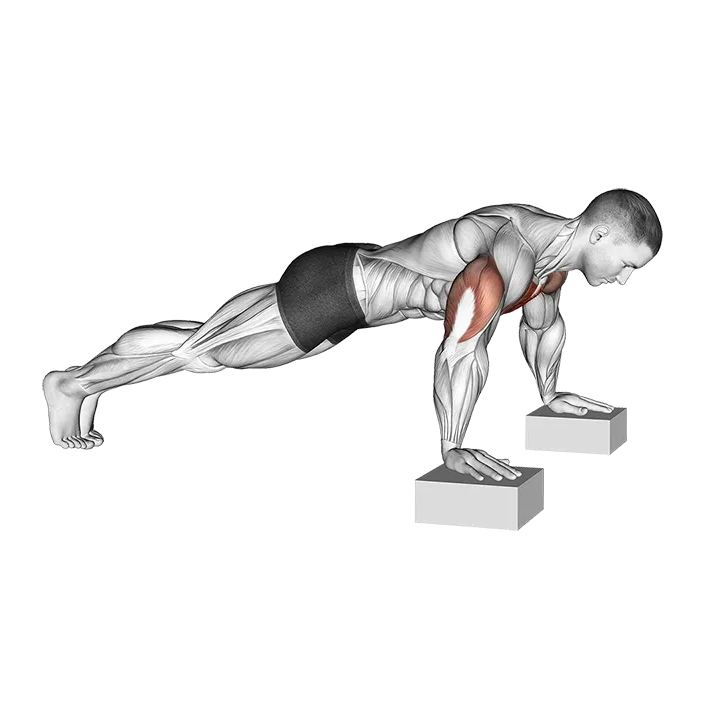 Elevanted Push-Up exercise animation (Male)