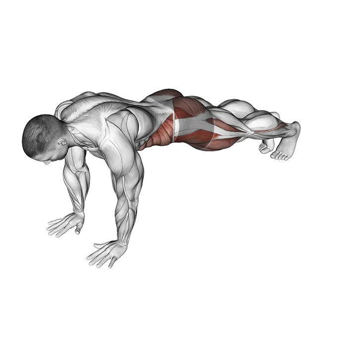 Front Plank Toe Tap exercise animation (Male)