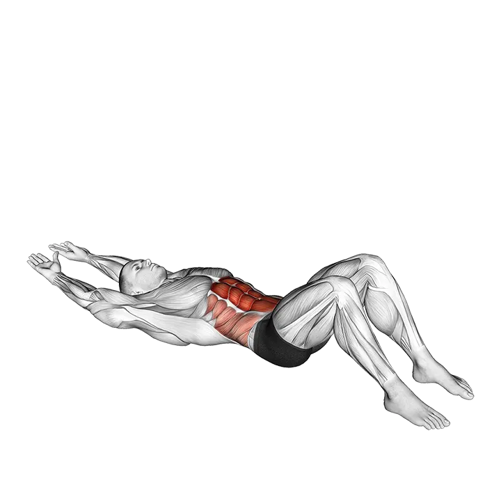 Crunch (arms straight) exercise animation (Male)