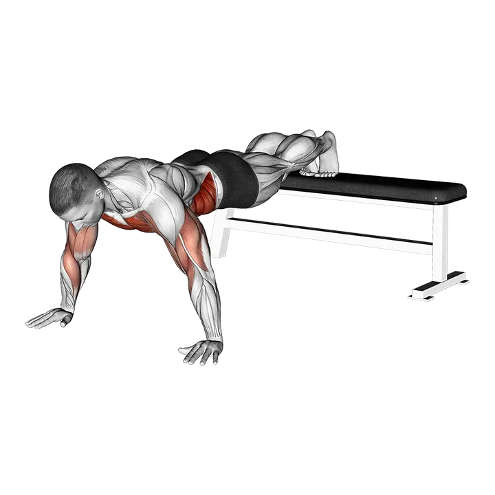 Decline Shoulder Tap exercise animation (Male)