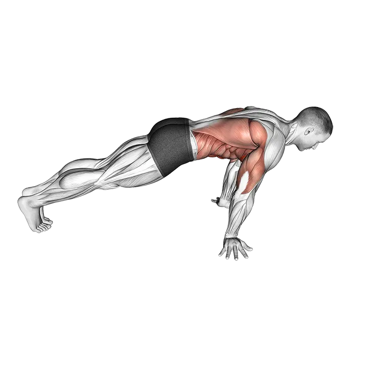 Pseudo Planche Push-up exercise animation (Male)