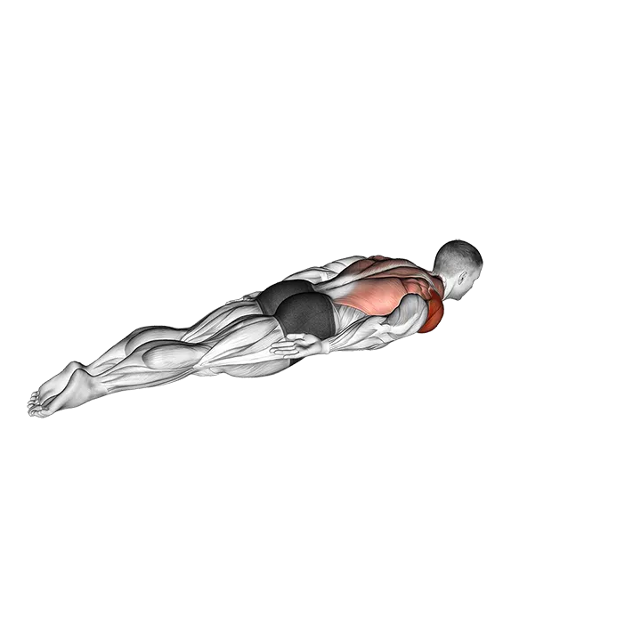 Lying Around the World exercise animation (Männlich)