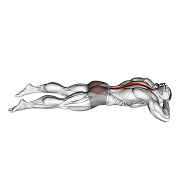 Lying Floor Hyperextension