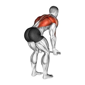Bent-Over Row with Towel