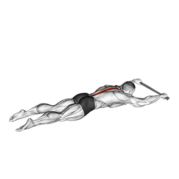Lying Floor Hyperextension with Towel
