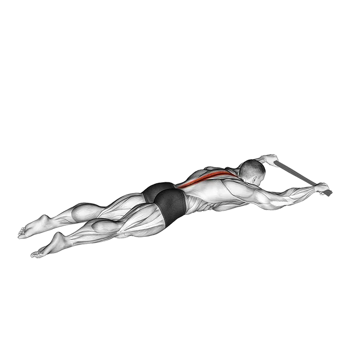 Lying Floor Hyperextension with Towel exercise animation (Male)