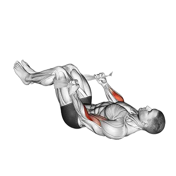 Lying Double Legs Hammer Curl with Towel