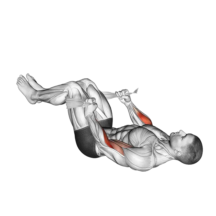 Lying Double Legs Hammer Curl with Towel exercise animation (Male)