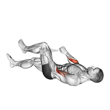 Lying Single Legs Reverse Biceps Curl with Towel
