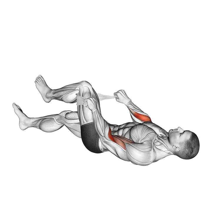 Lying Single Legs Reverse Biceps Curl with Towel exercise animation (Male)
