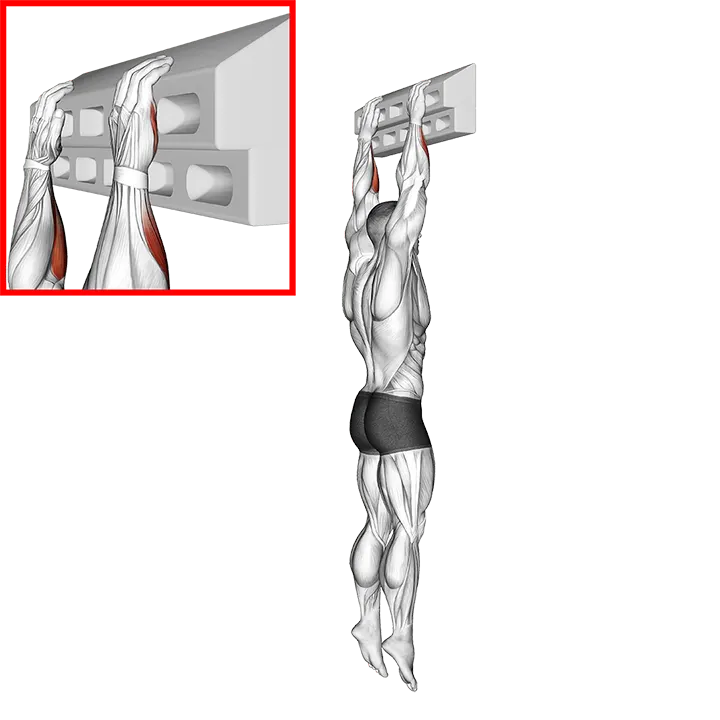 Handboard Slope Hang exercise animation (Male)