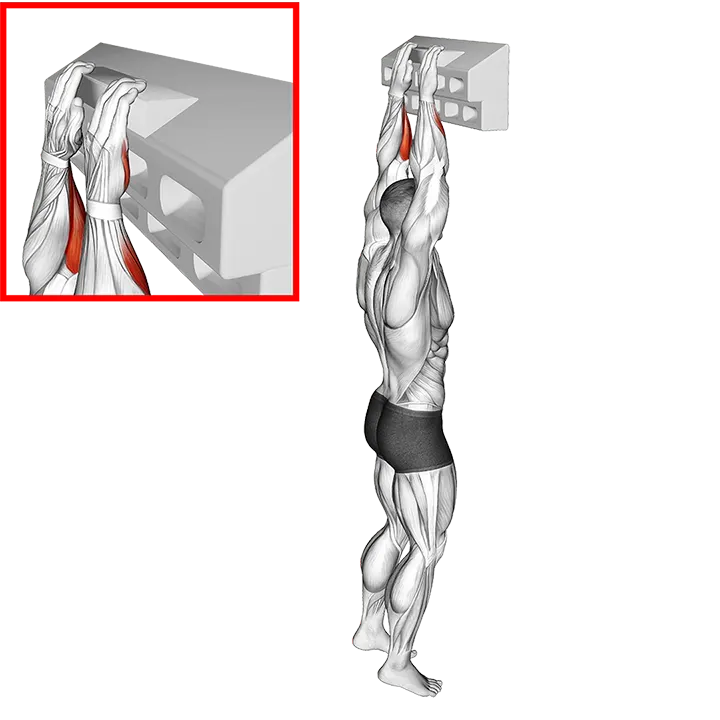 Handboard Open Hand Grip exercise animation (Male)