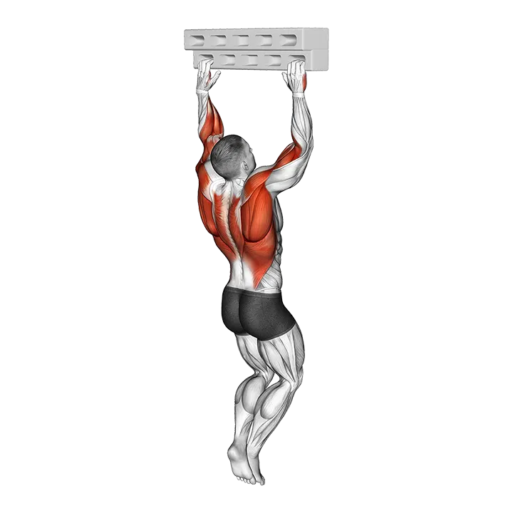 Handboard Hang with 135 Degree Elbow exercise animation (Male)