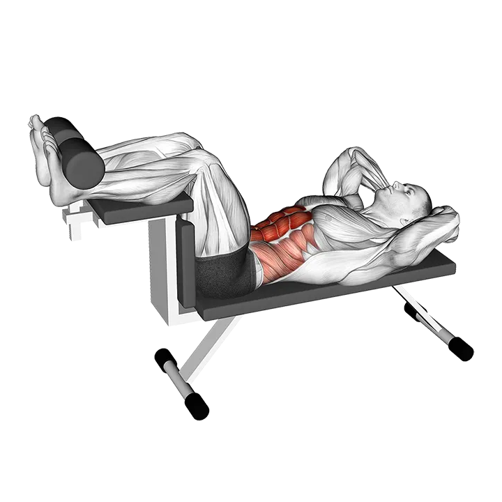 Crunch (on bench) exercise animation (Male)