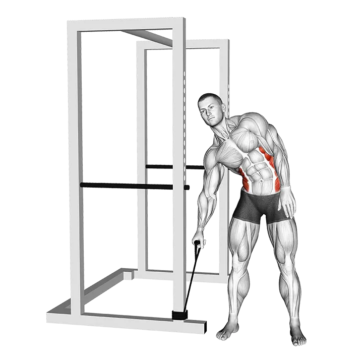 Band Side Bend exercise animation (Male)