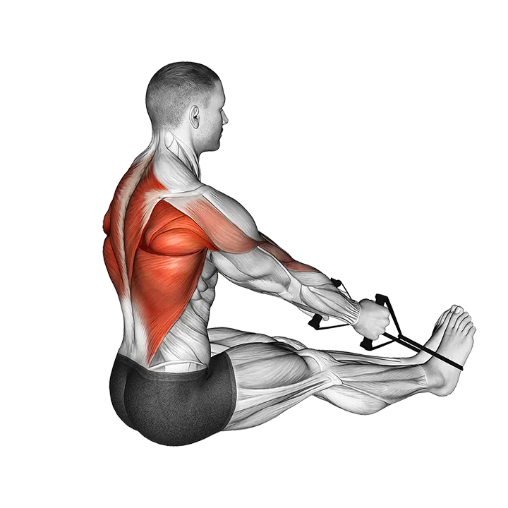 Band straight back seated row exercise animation (Male)