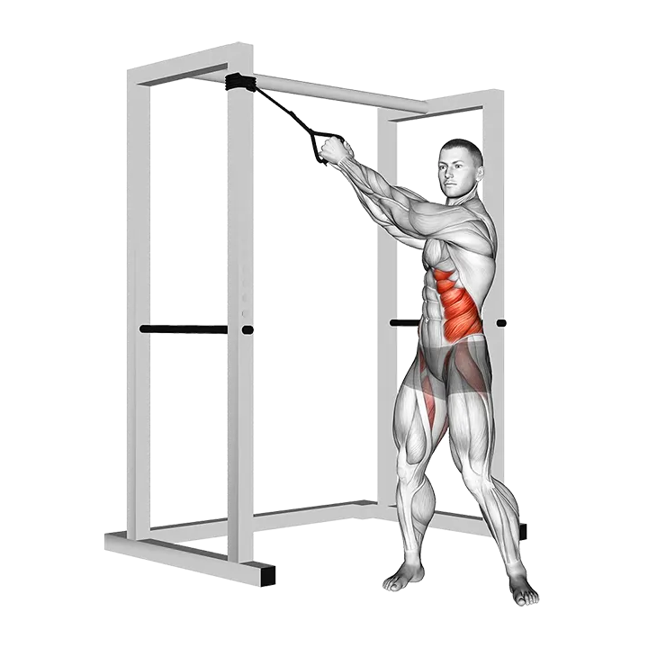 Band twist (-up down) exercise animation (Male)