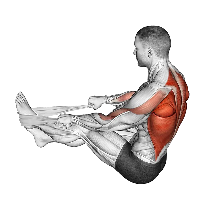Seated Row with Towel exercise animation (Male)