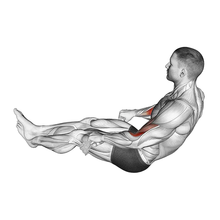 Two Legs Reverse Biceps Curl with Towel (VERSION 2) exercise animation (Male)