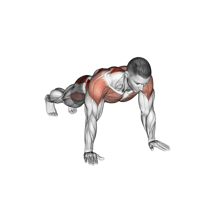 Plank Lateral Raise exercise animation (Male)