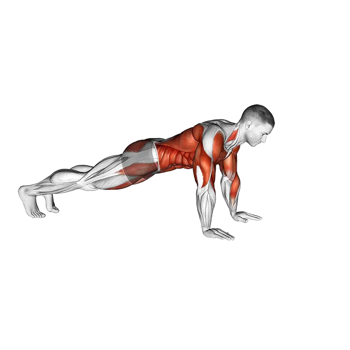Front Plank Walkout exercise animation (Male)