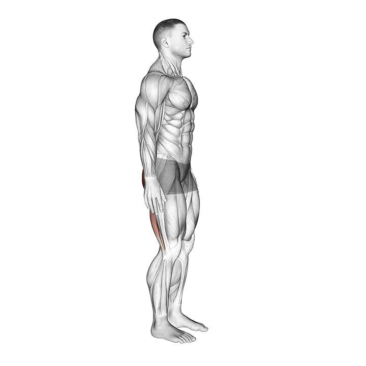 Standing Back Extension And Flexion exercise animation (Male)