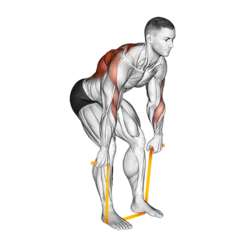 Resistance Band Bent Over Row