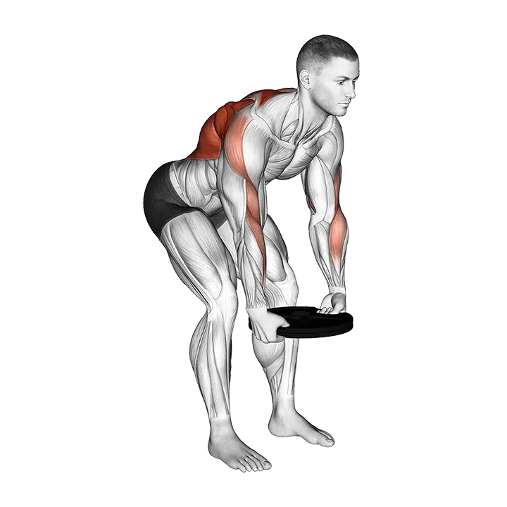 Weighted Plate Bent Over Row exercise animation (Male)